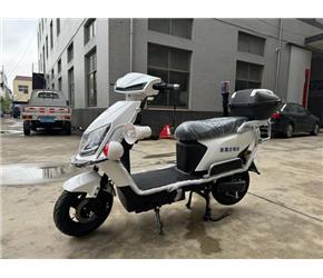 兩輪電動(dòng)巡邏車(chē)